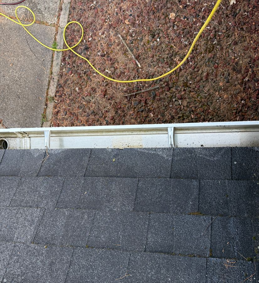 cleaned gutters